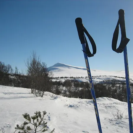 Fjellstue 3* 霍夫灵恩