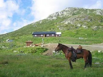 Fjellstue Hotel Bergsjostolen